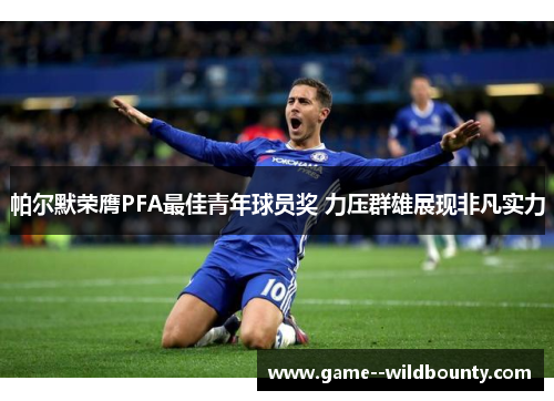 帕尔默荣膺PFA最佳青年球员奖 力压群雄展现非凡实力