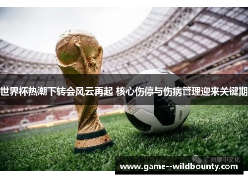 世界杯热潮下转会风云再起 核心伤停与伤病管理迎来关键期